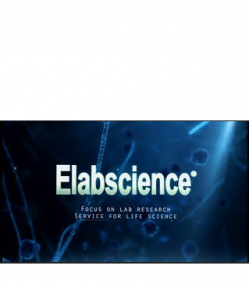 Elabscience Bionovation