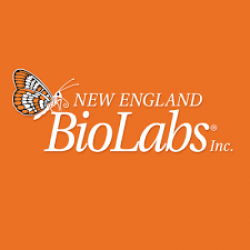 New England Biolabs