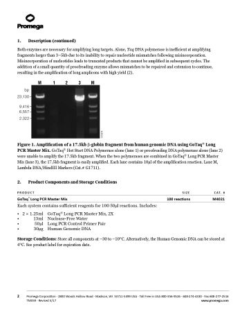 Набор для амплификации длинных ДНК фрагментов GoTaq® Long PCR Master Mix, 100 реакций (арт. M4021)
