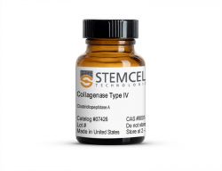 Коллагеназа тип IV, 100 мг (арт. 07426)