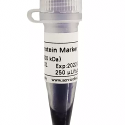 Маркер белковый Prestained Protein Marker II, окрашенный, длина фрагментов 10 - 200 кДа, 250 мкл (арт. G2058-250UL)
