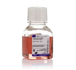 Реагент для диссоциации клеток StemPro® Accutase®, 100 мл (арт. A1110501)