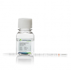 Раствор пенициллин-стрептомицин с L-глутамином (100Х), 100 мл (арт. Capricorn PSG-B)