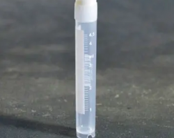 Микропробирки для криохранения 5 мл, с внеш.резьбой, стерильные, п/п, 12,6*89, 3 мм, без ДНКаз и РНКаз, 50 шт./упак. (арт. 11005426)