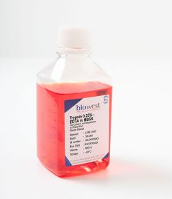 Трипсин 0,25% - ЭДТА в HBSS, без кальция и магния, с феноловым красным, 500 мл (арт. L0931-500)