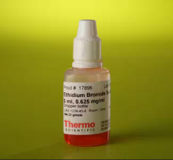 Этидия бромид (0,625 мг/мл), флакон с капельницей, 5 мл (арт. 17896)