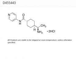 Y-27632 (дигидрохлорид) ингибитор ROCK, 5 мг (арт. D455443)