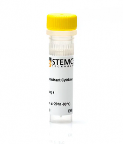 Реагент рекомбинантный инсулин-подобрный фактор 2 (Human Recombinant IGF-II), 10 мкг (арт. 78023.1)