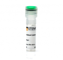 Реагент человеческий рекомбинантный интерлейкин-10 / Human Recombinant IL-10, 50 мкг (арт. 78024)