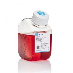 Среда DMEM с NEAA, с высоким содержанием глюкозы, без глутамина, с феноловым красным, 500 мл (арт. 10938025)