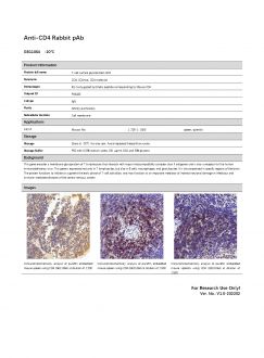 Антитела Anti-CD4 Rabbit pAb, 100 мкл (арт. GB11064)
