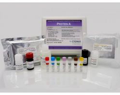 ИФА-набор Protein A ELISA Kit, Cygnus Technologies (арт. F400)