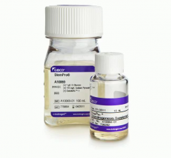 Набор StemPro™ для дифференцировки хондрогенеза (арт. A1007101)