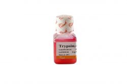 Трипсин (0,25%), с ЭДТА и феноловым красным, 100 мл (арт. FG301-01)