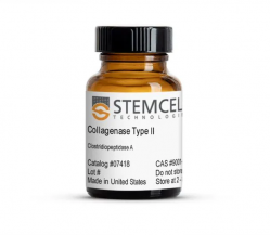 Реагент коллагеназа тип II / Collagenase Type II, 5 г (арт. 100-0678)