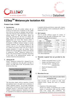 Набор для выделения меланоцитов EZSep™ (арт. CCK001)