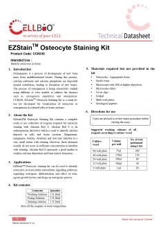 <i>(в наличии)</i> Набор для окрашивания остеоцитов EZstain™ (арт. CCK030)