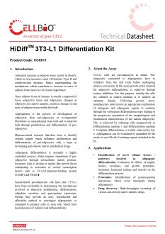 Набор для дифференциации адипогенеза HiDiff™ 3T3-L1, 100 тестов (арт. CCK011)
