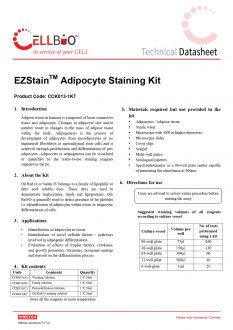 <i>(в наличии)</i> Набор для окрашивания адипоцитов EZstain™ (арт. CCK013)