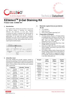 Набор для окрашивания EZdetect™ ß-Gal, 300 тестов (арт. CCK064)