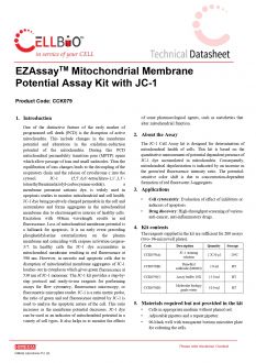 EZAssay™ Набор для анализа потенциала митохондриальных мембран с JC-1, 200 тестов (арт. CCK079)