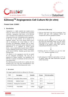 Набор для культивирования клеток ангиогенеза EZAssay™ Angiogenesis Cell Culture Kit (In Vitro), 100 тестов (арт. CCK081)