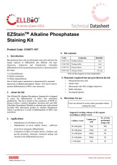 Набор для окрашивания щелочной фосфатазой EZstain™ Alkaline Phosphatase Staining Kit (арт. CCK077)