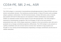 Конъюгат антител CD34 c PE (CD34-PE), 100 тестов (арт. A07776 / IM1871U)