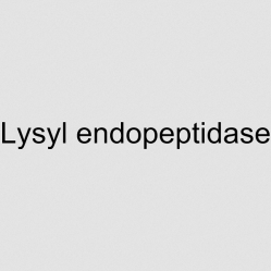 Лизил эндопептидаза (Lys-C), 20 мкг (арт. HY-P3205)