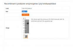 Рекомбинантный фермент Lysobacter Лизил эндопептидаза, 20 мкг (арт. CSB-YP745349LLB)