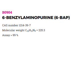 6-Бензиламинопурин (6-БАП) / 6-BENZYLAMINOPURINE (6-BAP) (арт. B0904.0001, B0904.0005, B0904.0025)