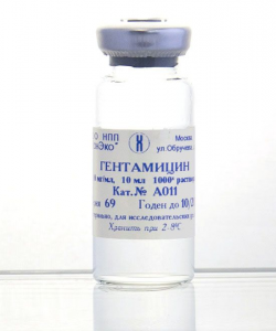 Гентамицин, 1000-х в растворе, 10 мг/мл, 10 мл (арт. А011)