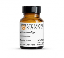 Коллагеназа тип I / Collagenase Type I, 100 мг (арт. 07415)
