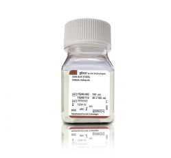 Антибиотик-антимикотик, 100-кратный раствор, 20 мл (арт. 15240096)