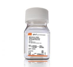 Раствор заменимых аминокислот (NEAA) без L-глутамина (100х на среду MEM), 100 мл (арт. 11140035)