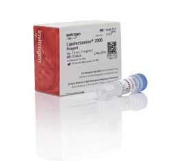 Реагент для трансфекции Lipofectamine® 200, 1.5 мл (арт. 11668019)