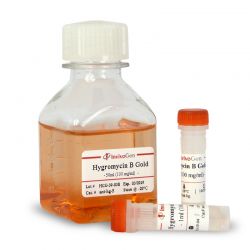 Антибиотик Гигромицин B раствор / Hygromycin B Gold (solution), 1 мл (арт. ant-hg-1)