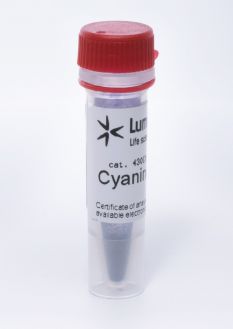 <i>(в наличии)</i> Cyanine5 амин, 25 мг (арт. 430C0)